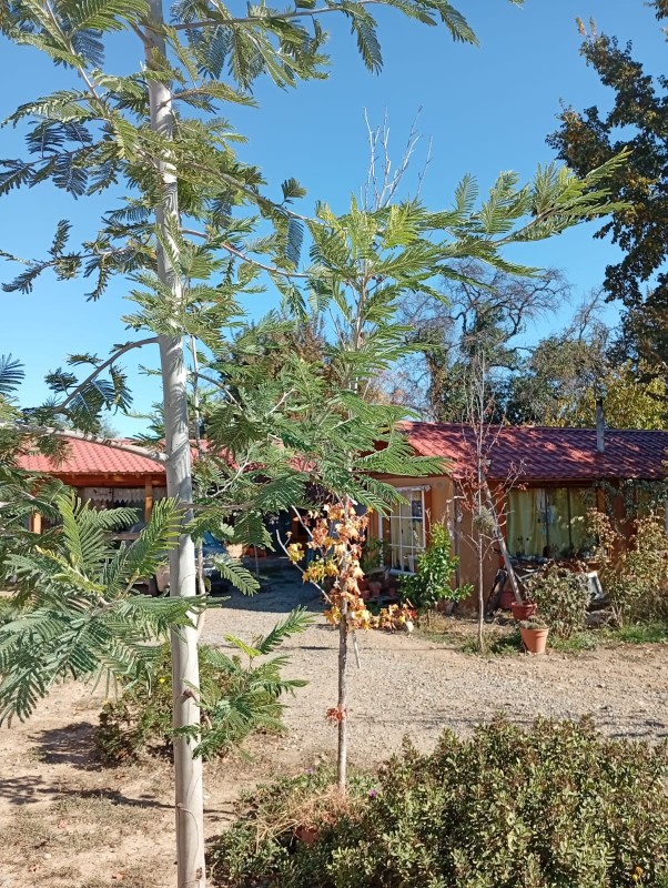 Hermoso Terreno Con Cabaña Estilo Boho Chic