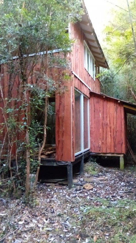 🌿 Vive Rodeado de Bosque Nativo en Bosque Andino