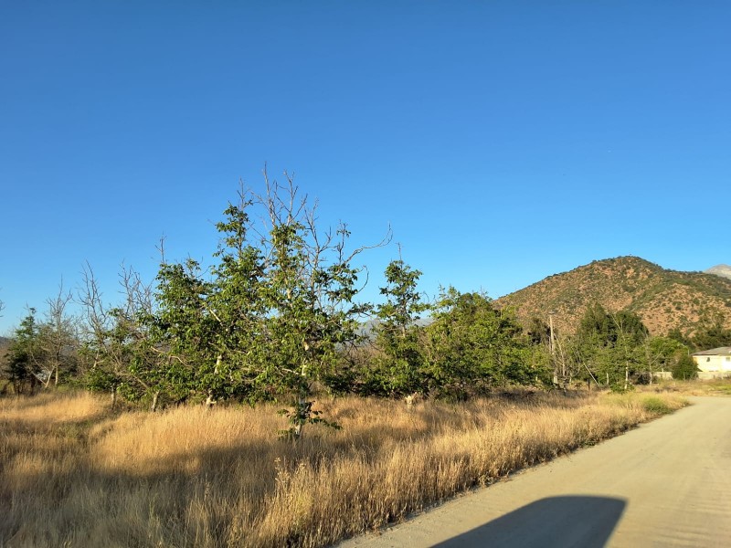 ¡parcela en Venta – Brisas de Picarquín, Mostazal!