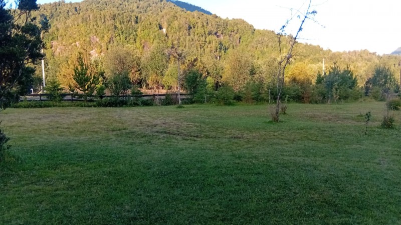 🌿 Vive Rodeado de Bosque Nativo en Bosque Andino