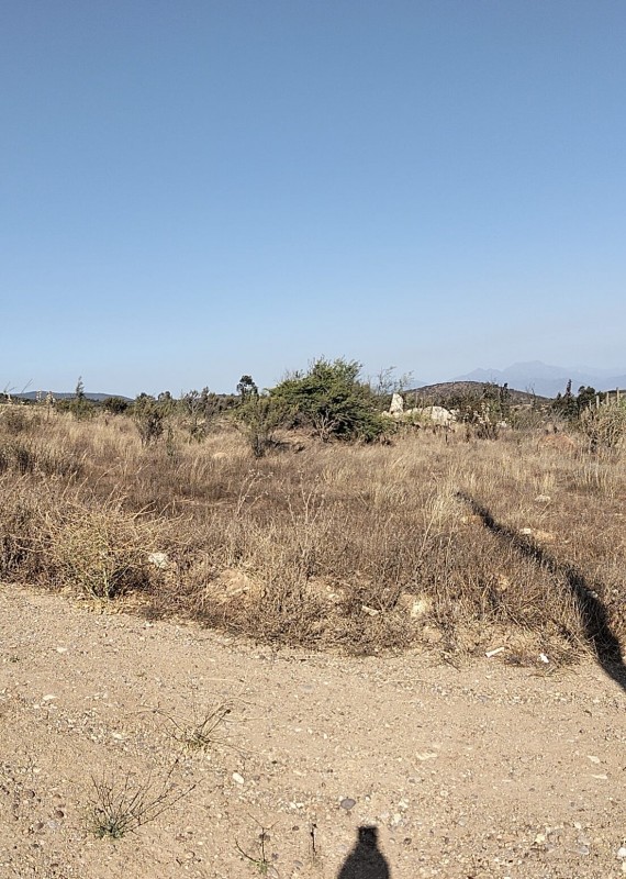 Terreno en Venta – Sector el Colmo, Quintero