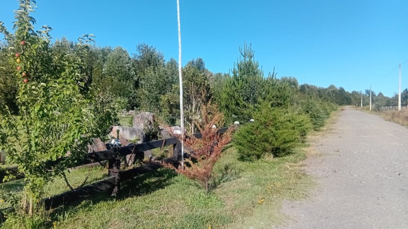 🌿 Vive Rodeado de Bosque Nativo en Bosque Andino