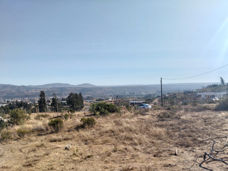 Terreno en Venta – Sector el Colmo, Quintero