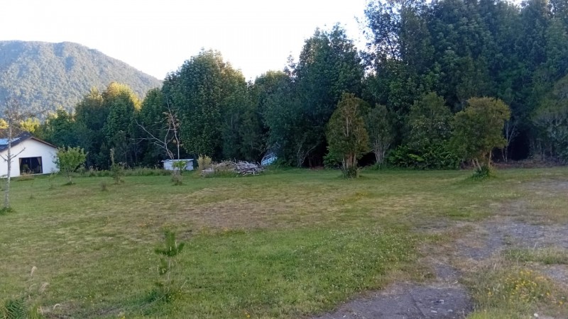 🌿 Vive Rodeado de Bosque Nativo en Bosque Andino