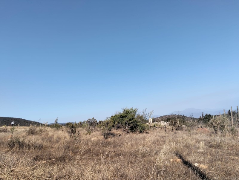 Terreno en Venta – Sector el Colmo, Quintero