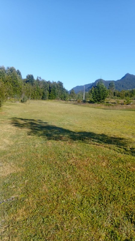 🌿 Vive Rodeado de Bosque Nativo en Bosque Andino