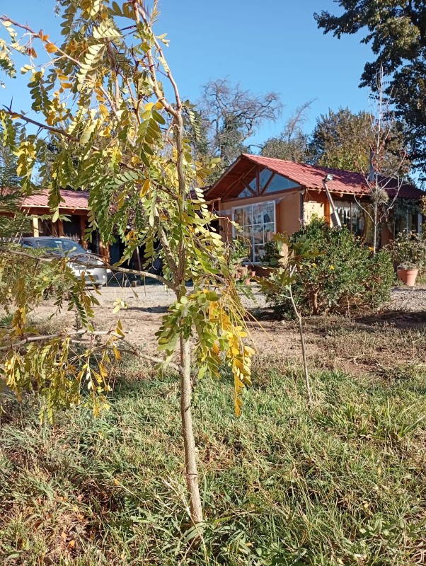 Hermoso Terreno Con Cabaña Estilo Boho Chic