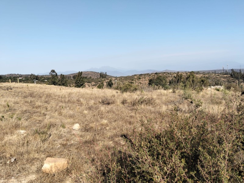 Terreno en Venta – Sector el Colmo, Quintero