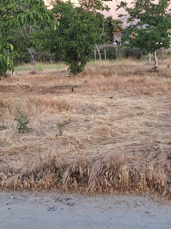 ¡parcela en Venta – Brisas de Picarquín, Mostazal!