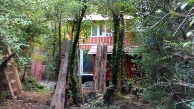 🌿 Vive Rodeado de Bosque Nativo en Bosque Andino