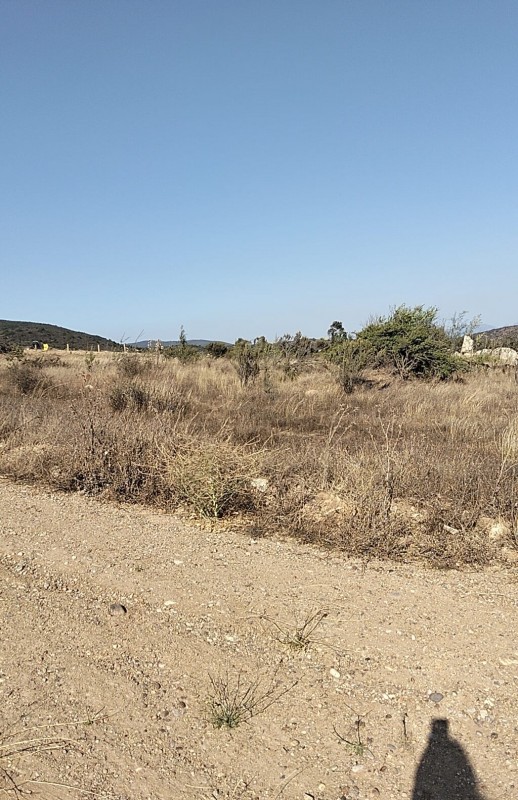 Terreno en Venta – Sector el Colmo, Quintero