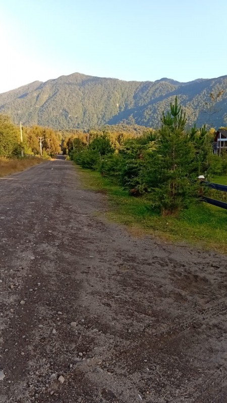 🌿 Vive Rodeado de Bosque Nativo en Bosque Andino