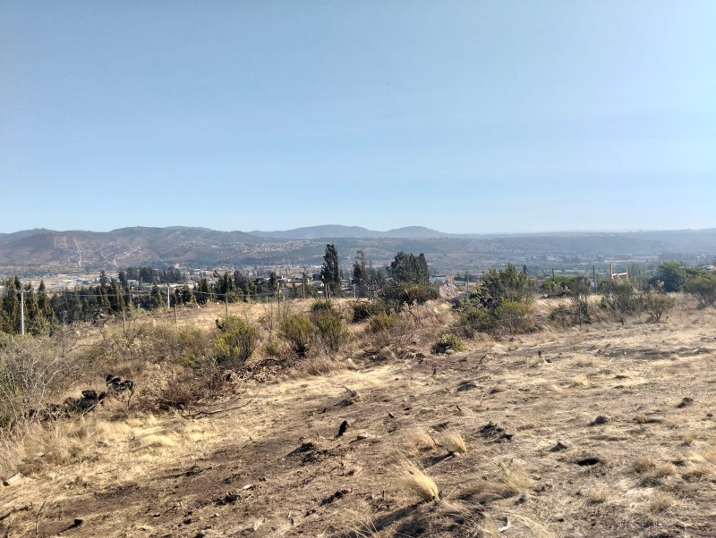 Terreno en Venta – Sector el Colmo, Quintero