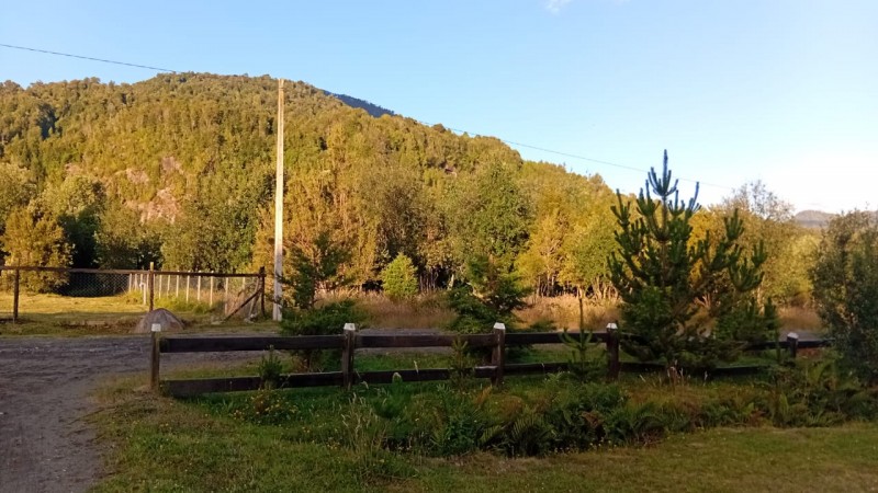 🌿 Vive Rodeado de Bosque Nativo en Bosque Andino
