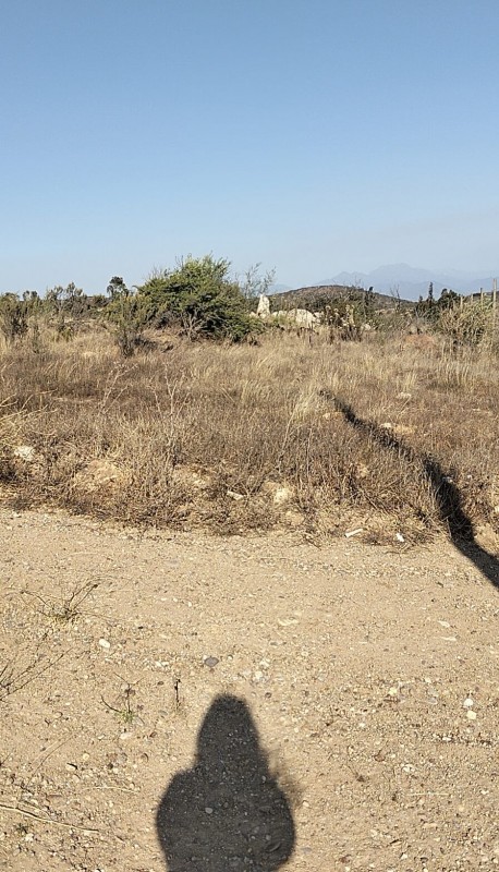 Terreno en Venta – Sector el Colmo, Quintero