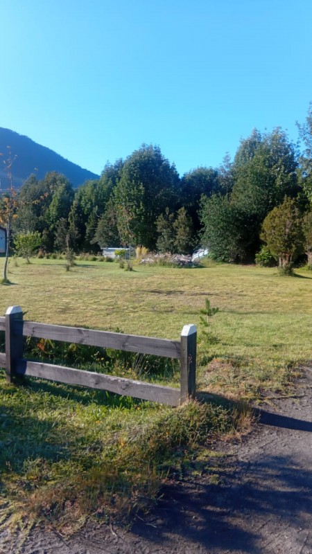 🌿 Vive Rodeado de Bosque Nativo en Bosque Andino