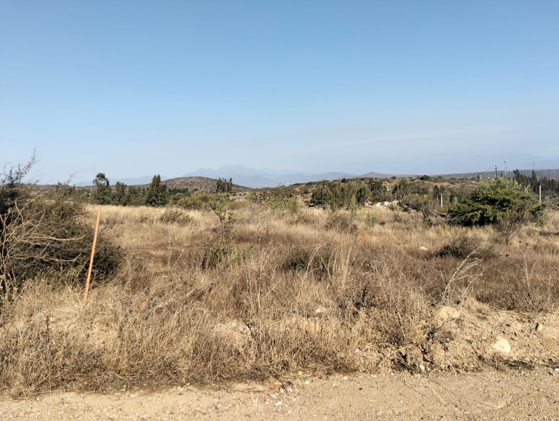Terreno en Venta – Sector el Colmo, Quintero