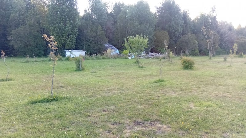 🌿 Vive Rodeado de Bosque Nativo en Bosque Andino