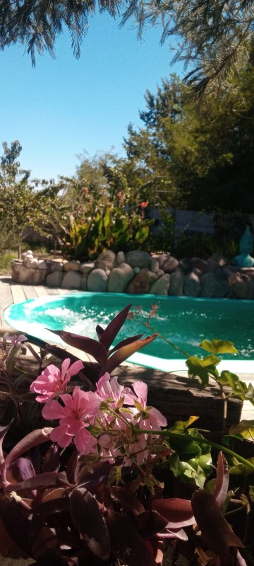 Hermoso Terreno Con Cabaña Estilo Boho Chic