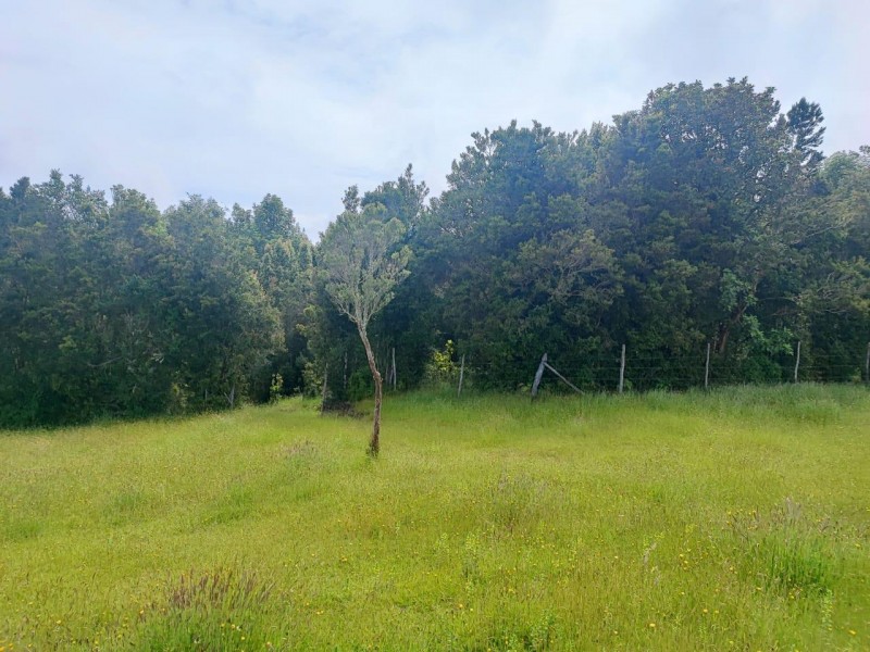 Se Vende Terreno en Parcelación Vive Bosque Puerto Varas