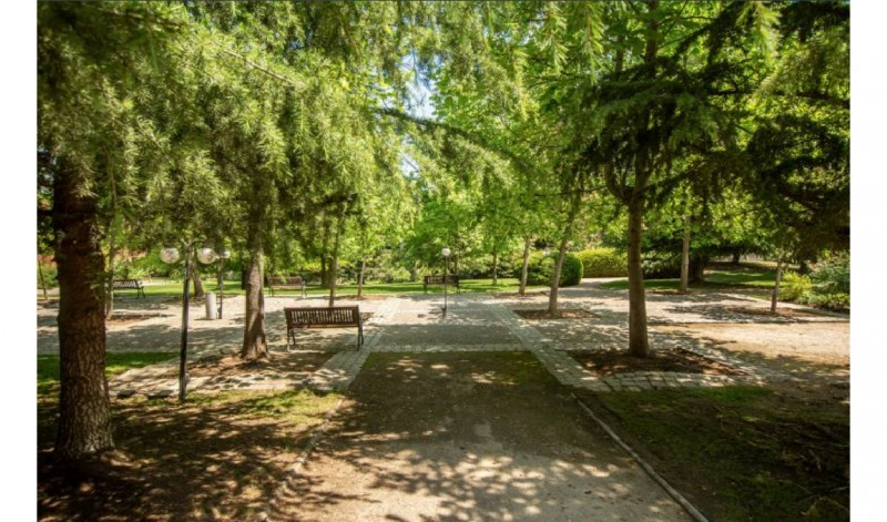 Departamento Familiar en el Mejor Sector de la Dehesa.