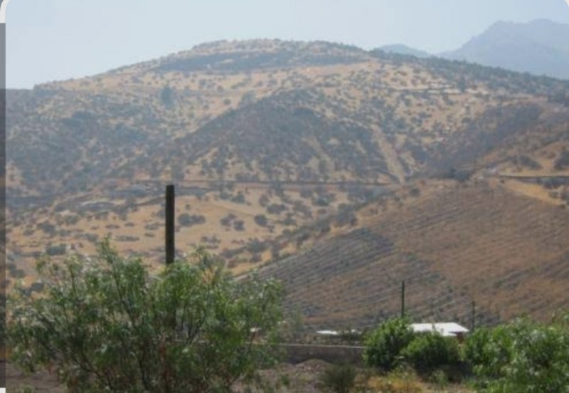 Parcela 5.000 Mtrs2 Fundo la Estrella Llaillay