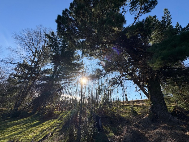 Se Vende Parcela de Agrado y Casa Nancahue Loncoche