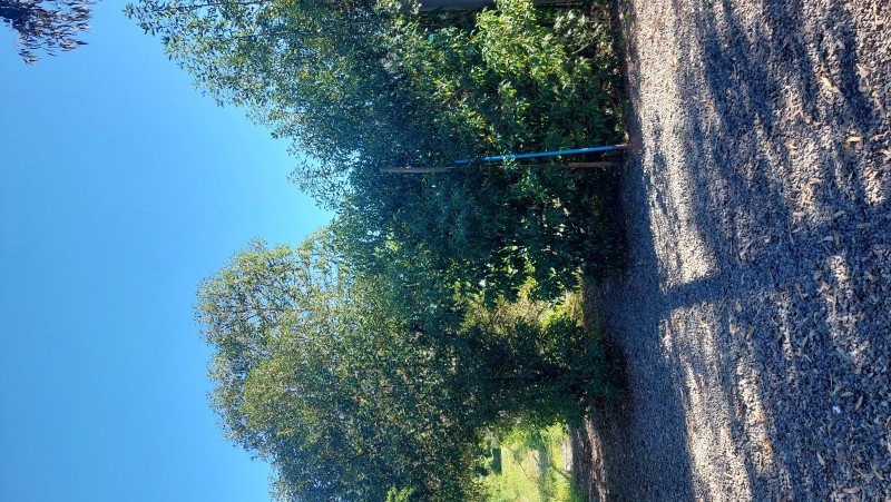 Sitio Amplio 1.496 Mtrs2 Proyecto Inmobiliario Miraflores Pe