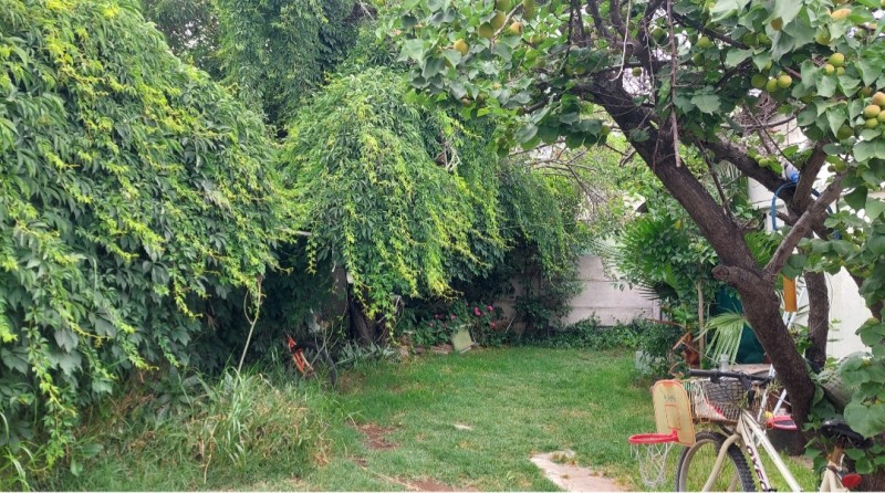 Casa Se Vende Jorge Gonzalez Bastias Villa Macul