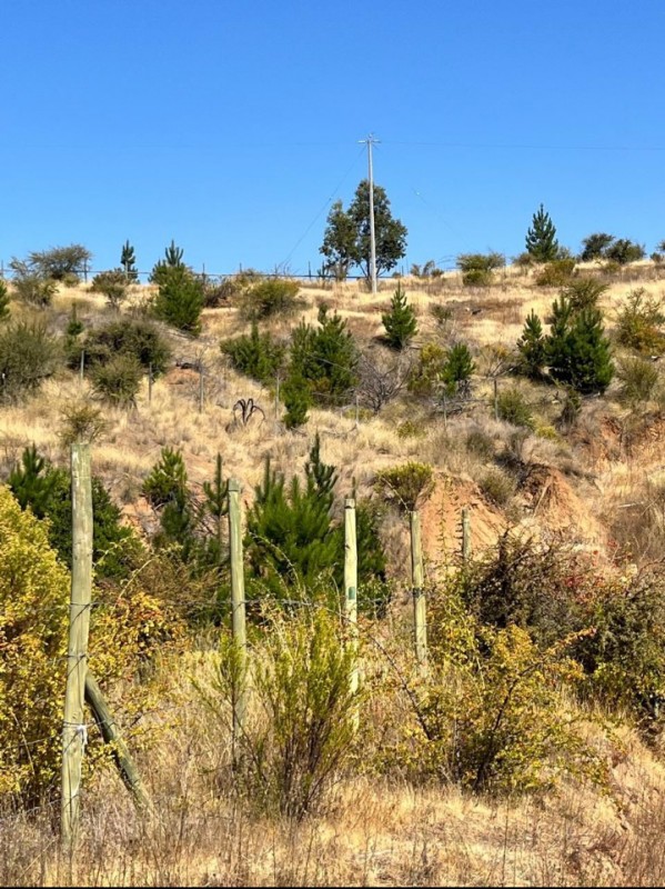 Parcela San Javier