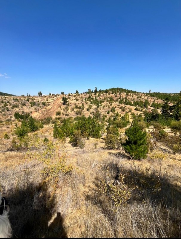 Parcela San Javier