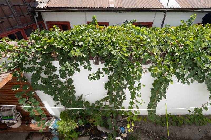 en Venta 2 Hermosas Propiedades en Maturana Barrio Brasil.
