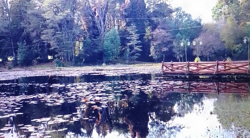 Vive Valdivia: Departamento Moderno en Ubicación Privilegi
