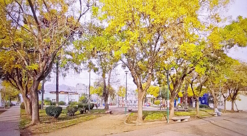 Encanto Clásico en Barrio Residencial de Independencia