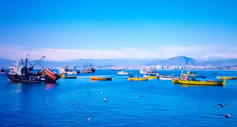 Departamento Soñado A Pasos de la Playa en Coquimbo