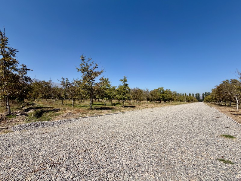SEGUNDA ETAPA Lotero San Isidro De Paine, El Cardonal