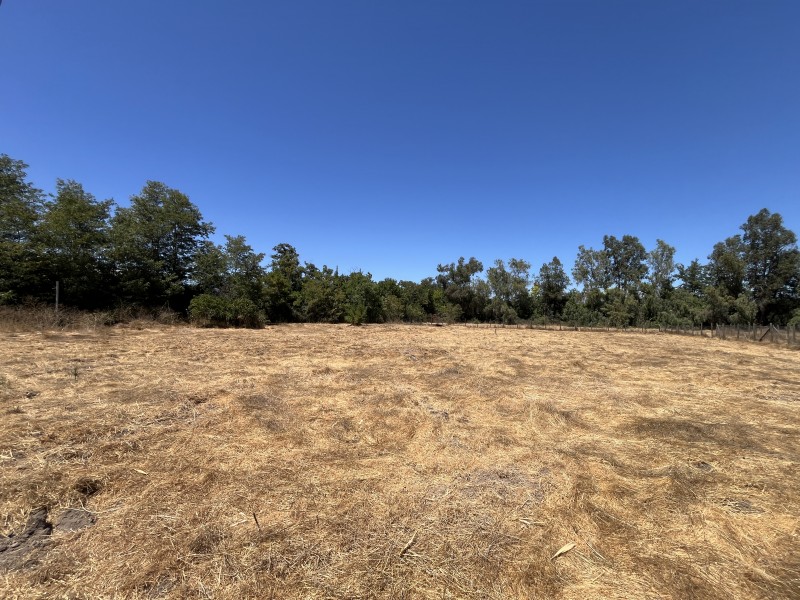 Parcela de 5.000M2 Con Excelente Ubicación