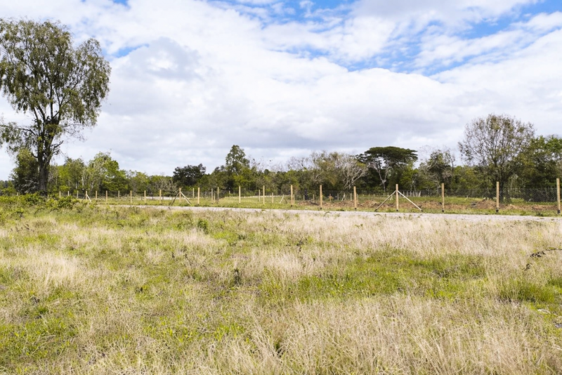 Parcela Sector María Luisa