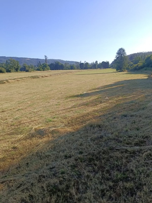 Parcelas Con Borde Río en Loncoche
