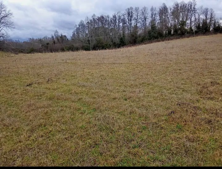 Parcela Condominio los Nogales 2