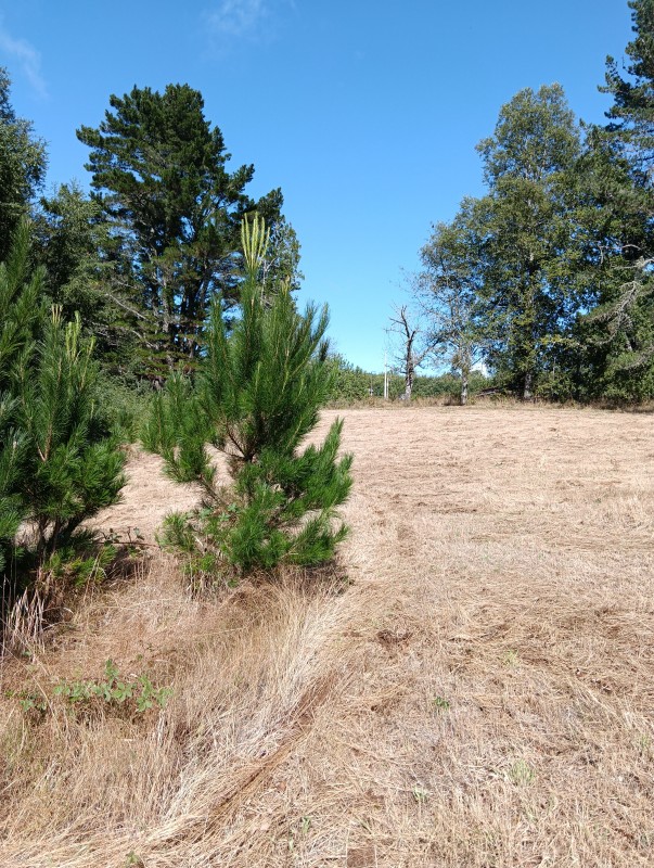 Parcela Sector 6Ta Faja