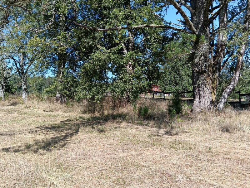 Parcela Sector 6Ta Faja