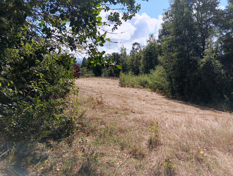 Parcela Sector 6Ta Faja