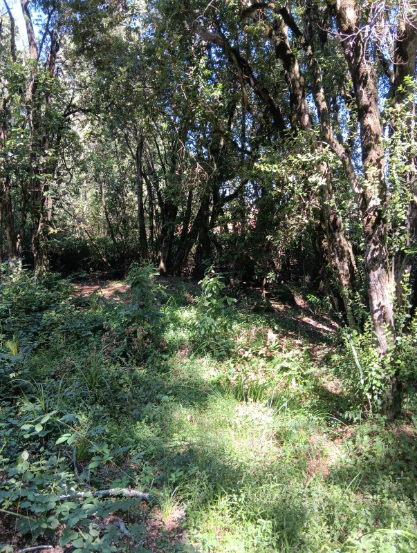 Casa en Construcción, Sector Polul