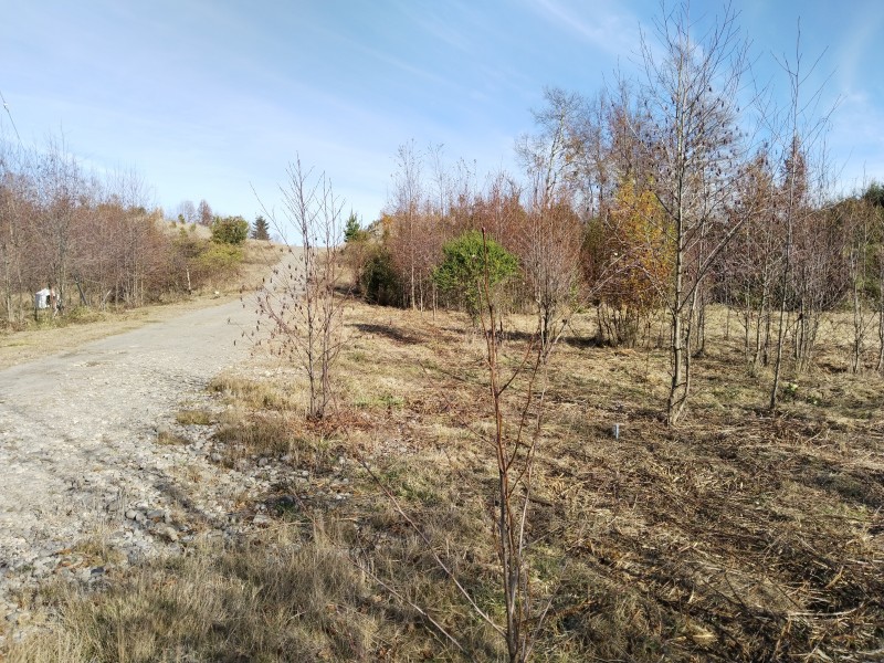 Parcelas en Condominio A 18 Minutos de Villarrica