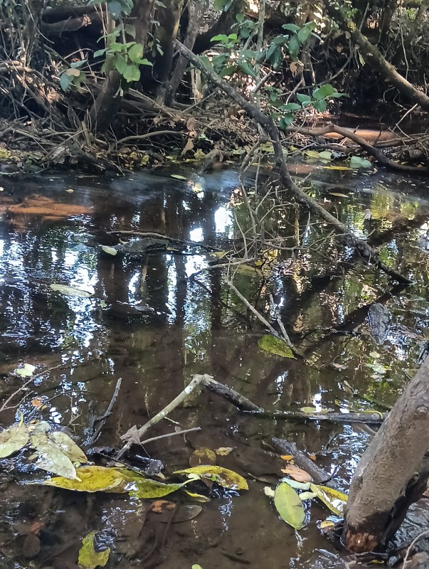 Casa en Construcción, Sector Polul