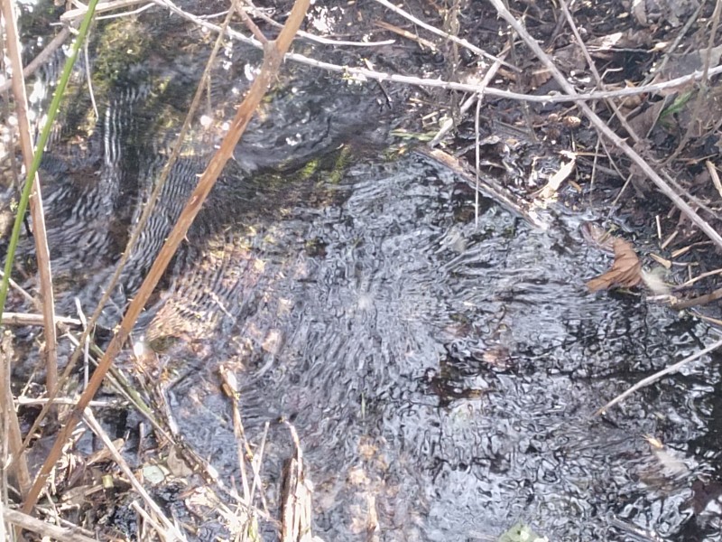 Parcelas en Condominio A 18 Minutos de Villarrica