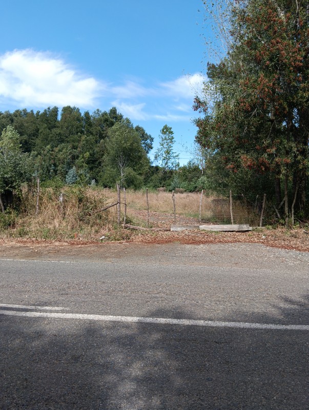 Casa en Parcela de Hectáreas A 7Km del Lago Collico