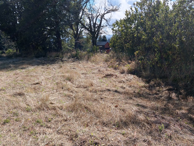 Parcela Sector 6Ta Faja