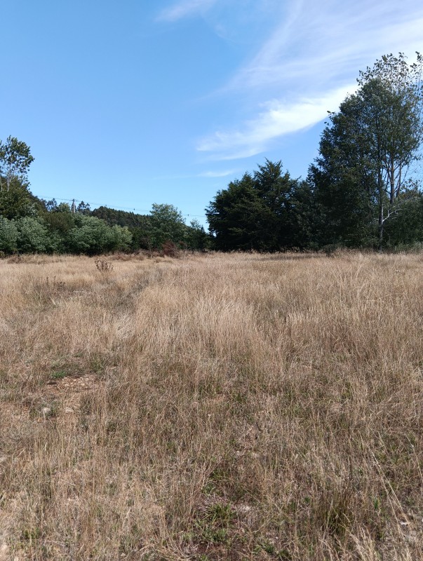 Casa en Parcela de Hectáreas A 7Km del Lago Collico